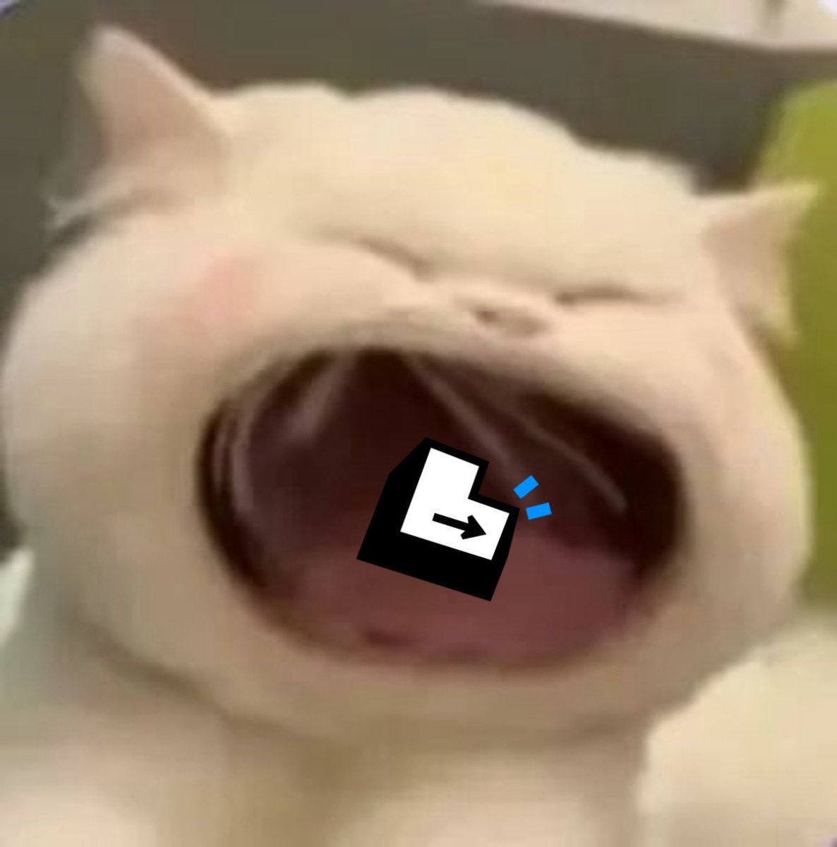 if you’re an active top yapper and want to learn more about <a href="/stayloudio/">Loud!</a> before it goes live you should probably dm me

loudio.