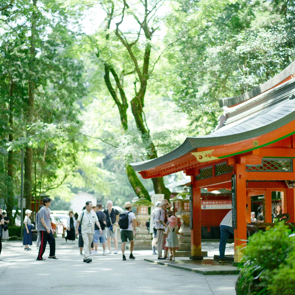 meow_photo's tweet image. 神社の朱色って自然の緑に似合うようにって意味もあるんじゃないかと思う