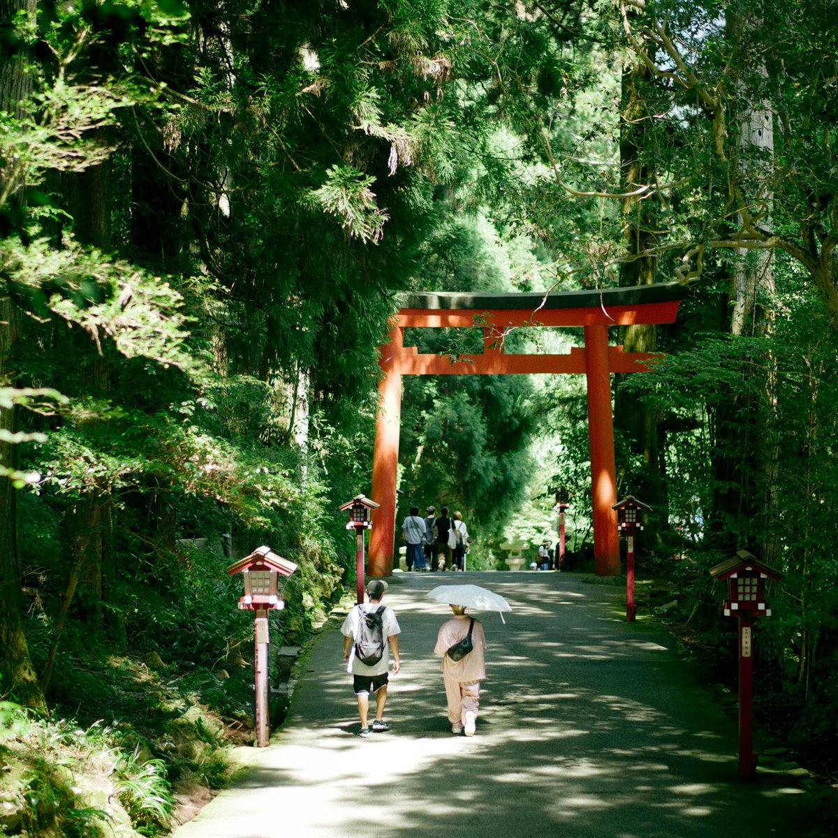 meow_photo's tweet image. 神社の朱色って自然の緑に似合うようにって意味もあるんじゃないかと思う