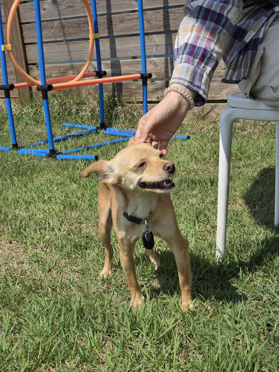 순대가 너무너무 행복했대요🥰 #순대가족찾아요