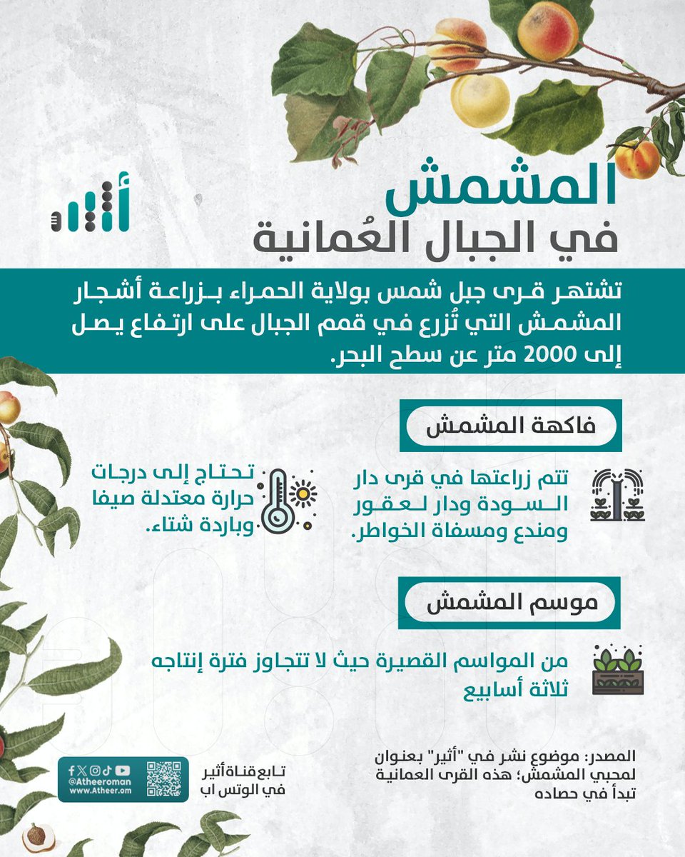 #أثير| المشمش في الجبال العُمانية 

#انفوجرافيك_أثير