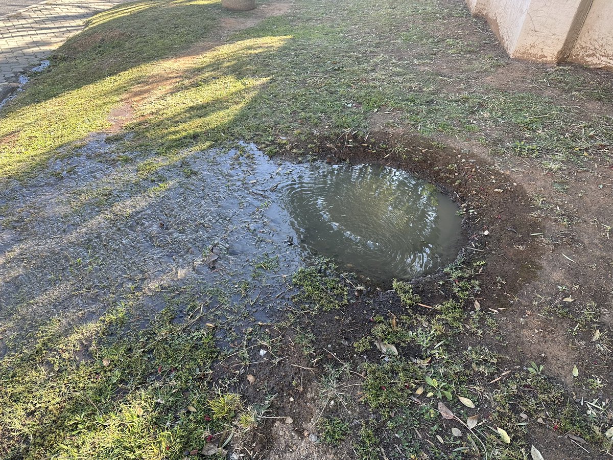 MillHillRA's tweet photo. Please @JHBWater attend to blocked drain at corner Norman Ave &amp; Fleming St, Mill Hill, Bryanston. Will also log.  @ward102joburg https://t.co/ck8nlDn3NG