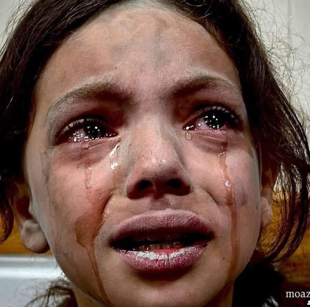 Aymeric Caron tweet media