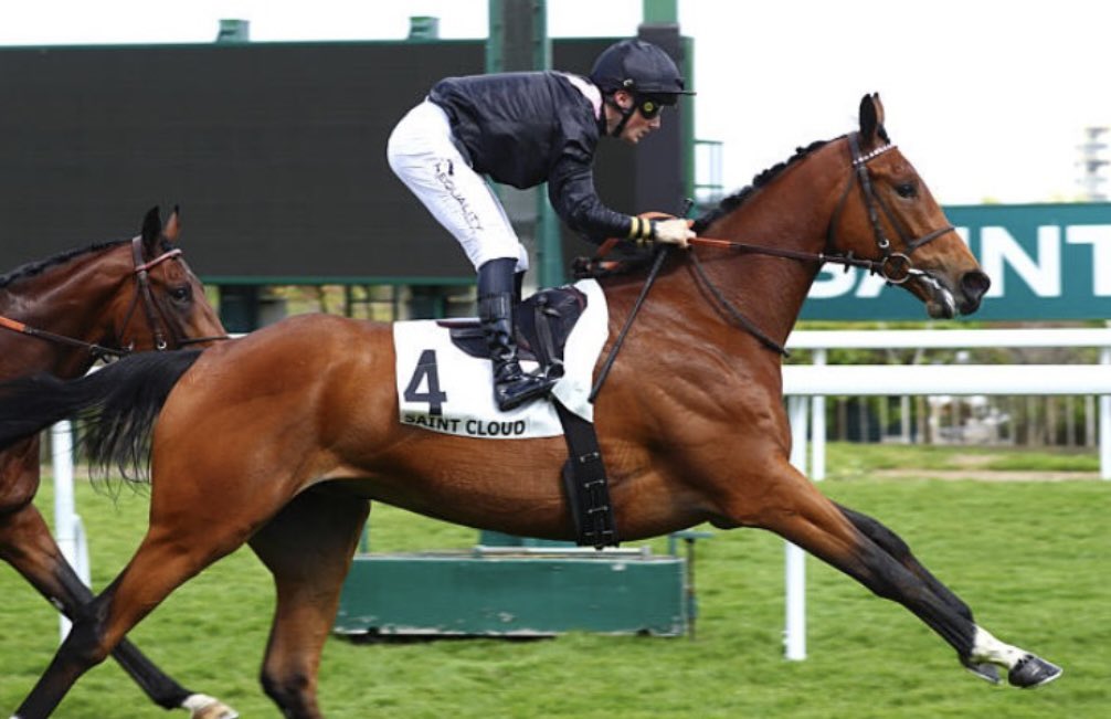 NormandieBreeding tweet media