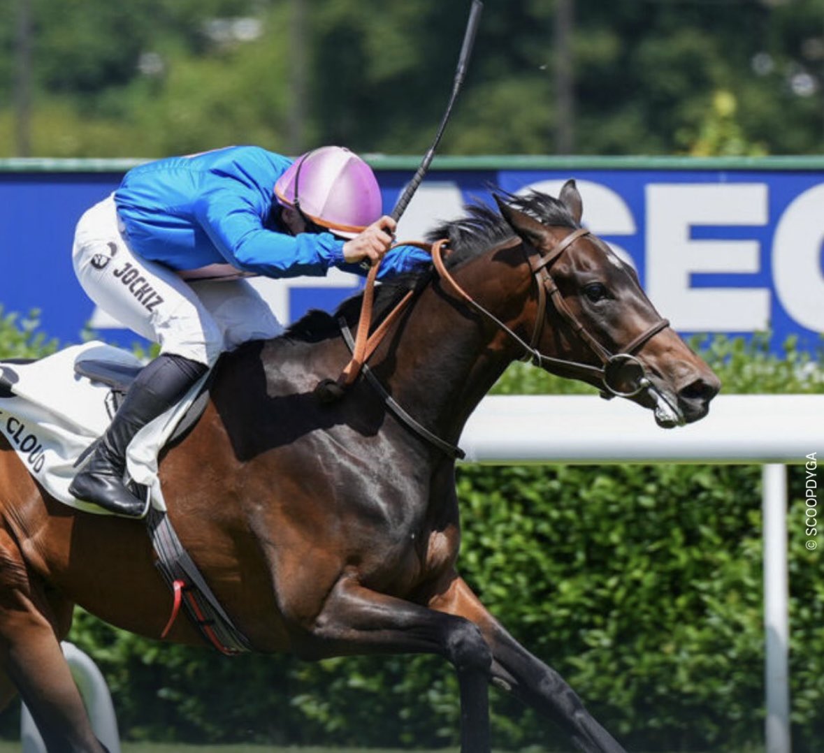 NormandieBreeding (@normandiebreed1) on Twitter photo Incredible week 🙌🏻
With just 15 mares to foal every years, out of 4 starters born on the stud
3 🏆 and 1 🥈
📍17/05 Olga De Kiev
🏆 Prix Sagan G3 (3yo) <a href="/baptiste_clerc/">Le Clerc Baptiste</a>
📍21/05 Uthred <a href="/EcurieGriezmann/">Écurie Griezmann</a>
🏆 C2 3yo
📍23/05 Arlong Fal <a href="/TanguyMoreux/">Tanguy MOREUX</a> & Kalkara
🏆 & 🥈C3 2yo Incredible week 🙌🏻
With just 15 mares to foal every years, out of 4 starters born on the stud
3 🏆 and 1 🥈
📍17/05 Olga De Kiev
🏆 Prix Sagan G3 (3yo) <a href="/baptiste_clerc/">Le Clerc Baptiste</a>
📍21/05 Uthred <a href="/EcurieGriezmann/">Écurie Griezmann</a>
🏆 C2 3yo
📍23/05 Arlong Fal <a href="/TanguyMoreux/">Tanguy MOREUX</a> & Kalkara
🏆 & 🥈C3 2yo