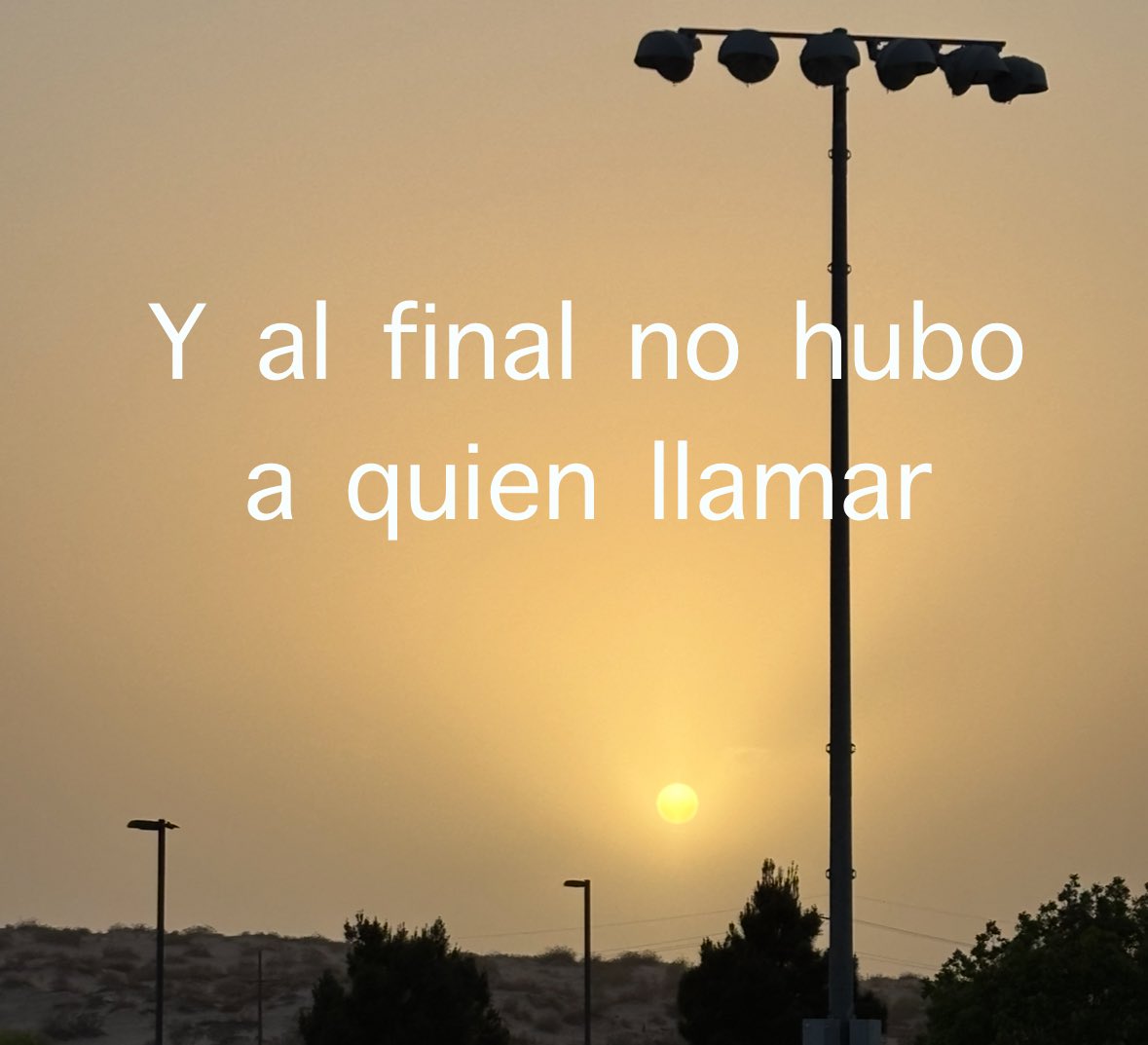 pequeBipolar's tweet image. 