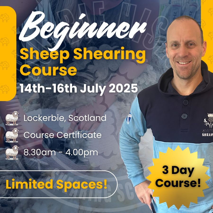 SHEARINGSCHOOL's tweet image. Beginner sheep shearing course, Dumfries &amp;amp; Galloway, 14-16 July 2025. 

Get off to a solid start with no bad habits. Spaces limited.

👉 shearingschool.co.uk/product/3-day-…

#SheepShearingCourse #FarmSkills #RobbieHislop