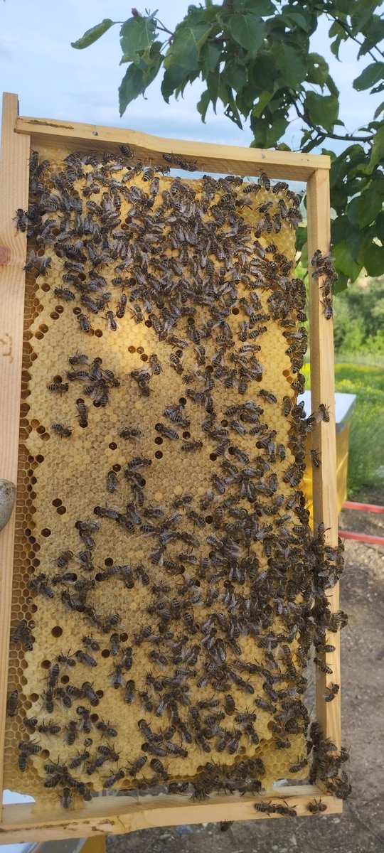 🪡🪡🪡🧵🧵🧵