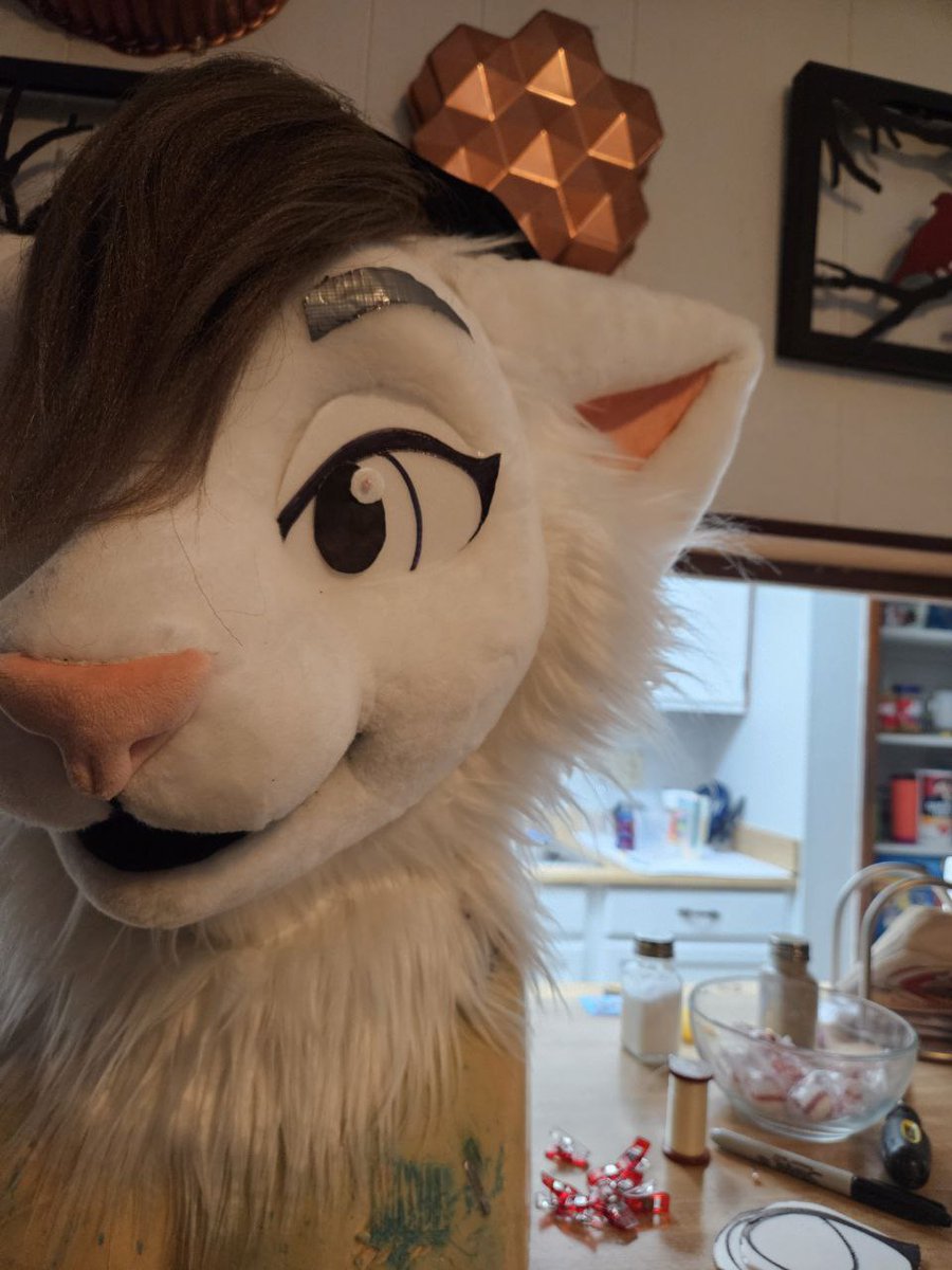 HollydaysInc's tweet image. Ya know, @BroadwayTheCat 's final look could have been much different! Here are a few WIP's while we purrrfected his final look 😽 ❤️
#wip #fursuit #Caturday