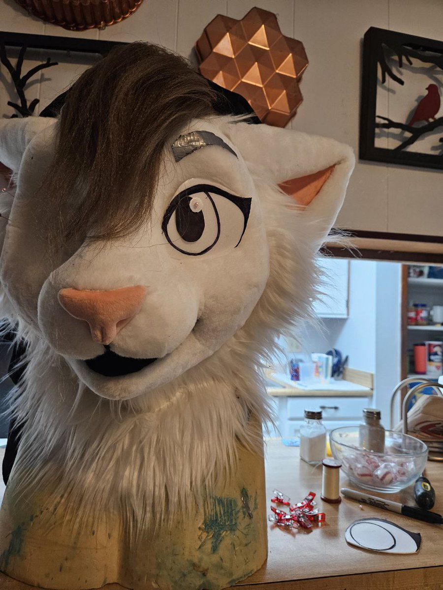 HollydaysInc's tweet image. Ya know, @BroadwayTheCat 's final look could have been much different! Here are a few WIP's while we purrrfected his final look 😽 ❤️
#wip #fursuit #Caturday