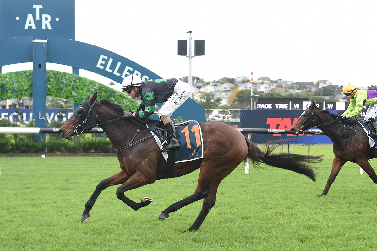 Auckland Thoroughbred Racing (@ellerslie_races) on Twitter photo Conor and Sarah Fahy continue their great strike rate with another win at Ellerslie.
Super Fly franks recent trials form breaking maiden ranks with a stylish win in the JRA Trophy 1400
<a href="/LongBallToNoOne/">Graham Pavey</a> <a href="/KawaParknz/">Kawa Park</a> <a href="/sarahworker/">Sarah Worker</a> Conor and Sarah Fahy continue their great strike rate with another win at Ellerslie.
Super Fly franks recent trials form breaking maiden ranks with a stylish win in the JRA Trophy 1400
<a href="/LongBallToNoOne/">Graham Pavey</a> <a href="/KawaParknz/">Kawa Park</a> <a href="/sarahworker/">Sarah Worker</a>