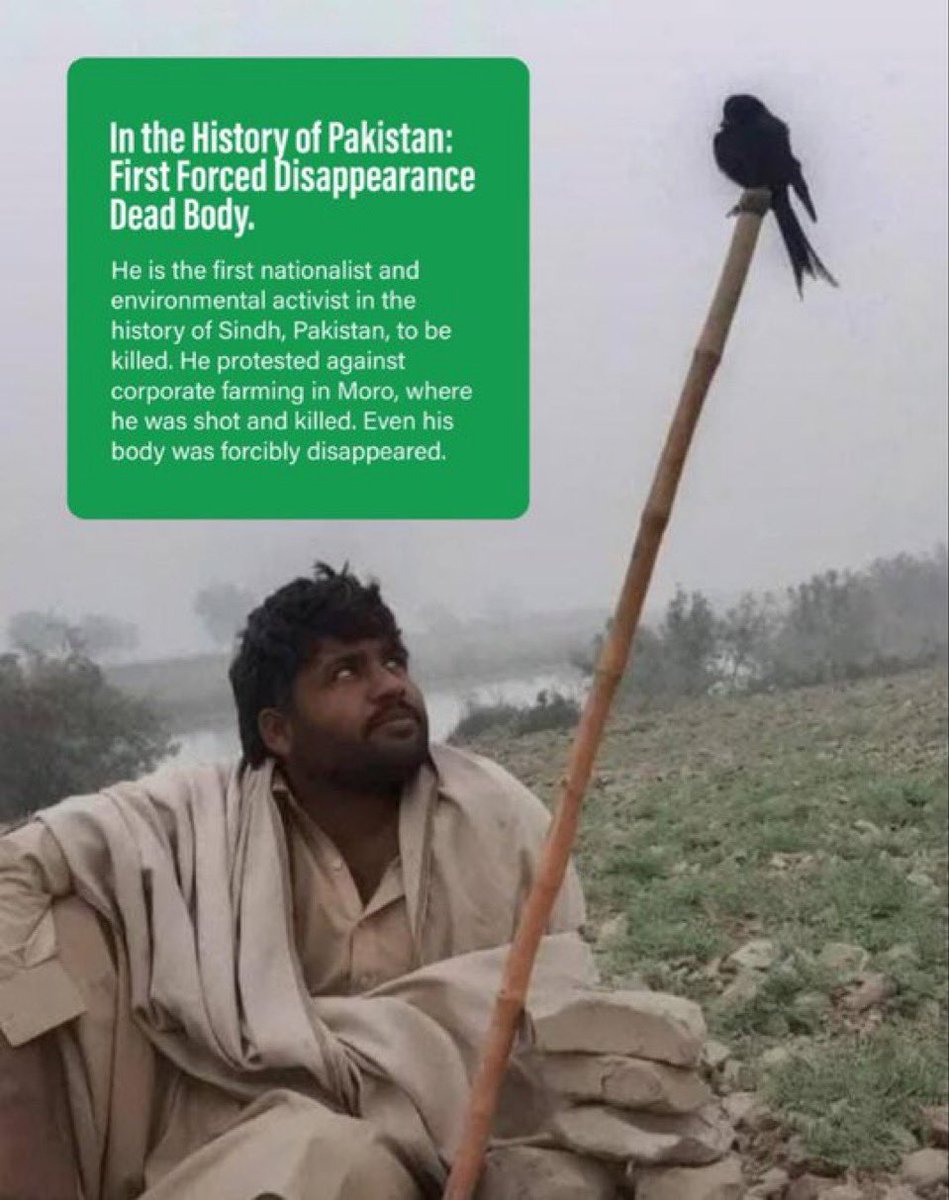 جيالا جڏهن سوشل ميڊيا تي سنڌي عام ماڻهن سان سنڌ جي اشوز تي مقابلا نٿا ڪري سگهن ته اتي هڪ ته پنهنجي هيٺين قيادت تي ناراض ٿا ٿين ٻيو وري سنڌي ماڻهن کي ٻاهرين ملڪن خاص ڪري انڊيا جو ايجنٽ ثابت ڪرڻ جي ناڪام ڪوشش پيا ڪن .تاريخ پيپلن تي دانگي ملي ڇڏي آهي جيڪا قيامت تائين قائم رهندي !