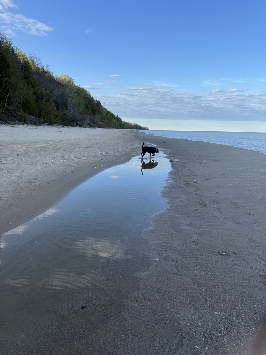 Алёна Schatzman tweet media