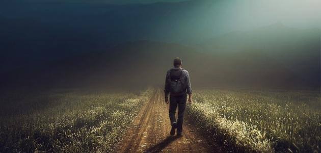 ويفيد بإيه النوح على الفايت !؟
غير بس هدة حيل وكَسرة قلب.

طب كنت فين وقت الجميع نَدَهُوك
والوقت نازل جـوه روحك سَـلب .

دلوقتى راجع تِـلحـق اللى فاتوك ،
وآدى حصاد الغُـربة ياابن الكـلب .

؛✍️