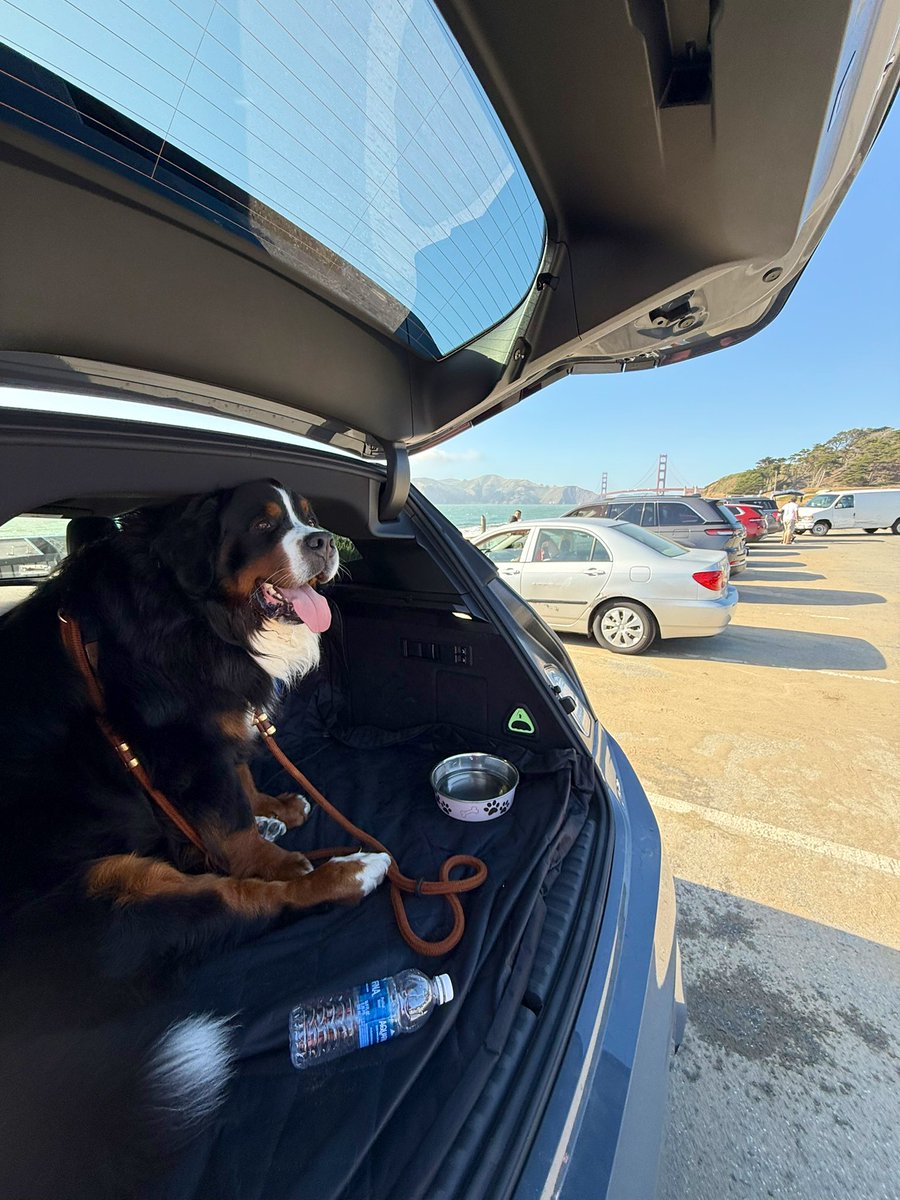 RussianBerner's tweet photo. Such a blustery day at #BakerBeach #SanFrancisco (I don’t like the water much so I stayed safely behind mom and dad watching their backs and watching other people and their every move  🙄😂 https://t.co/2Hjr7RVqeZ