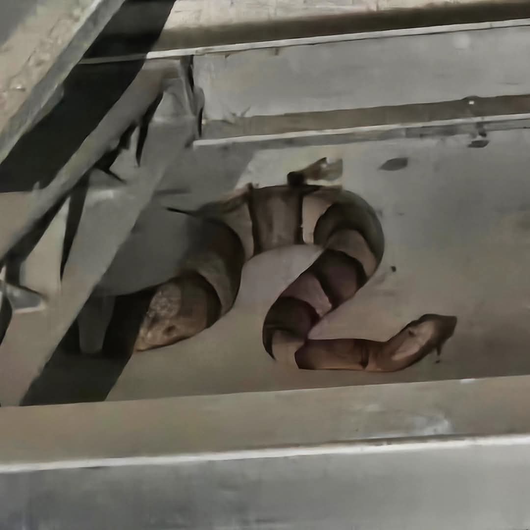 Sam Dillard tweet media