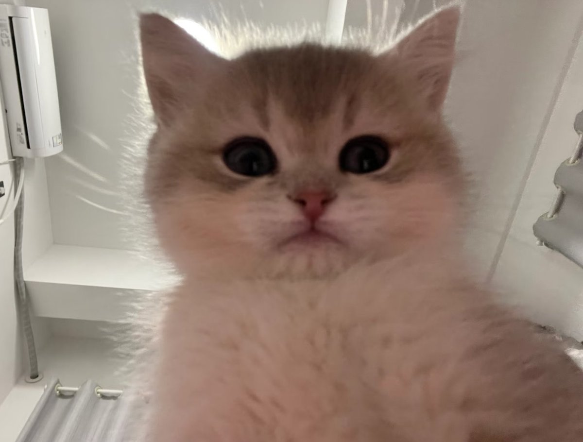 wickedbo7's tweet image. ตอบมา ว่ารักช้านมั้ย