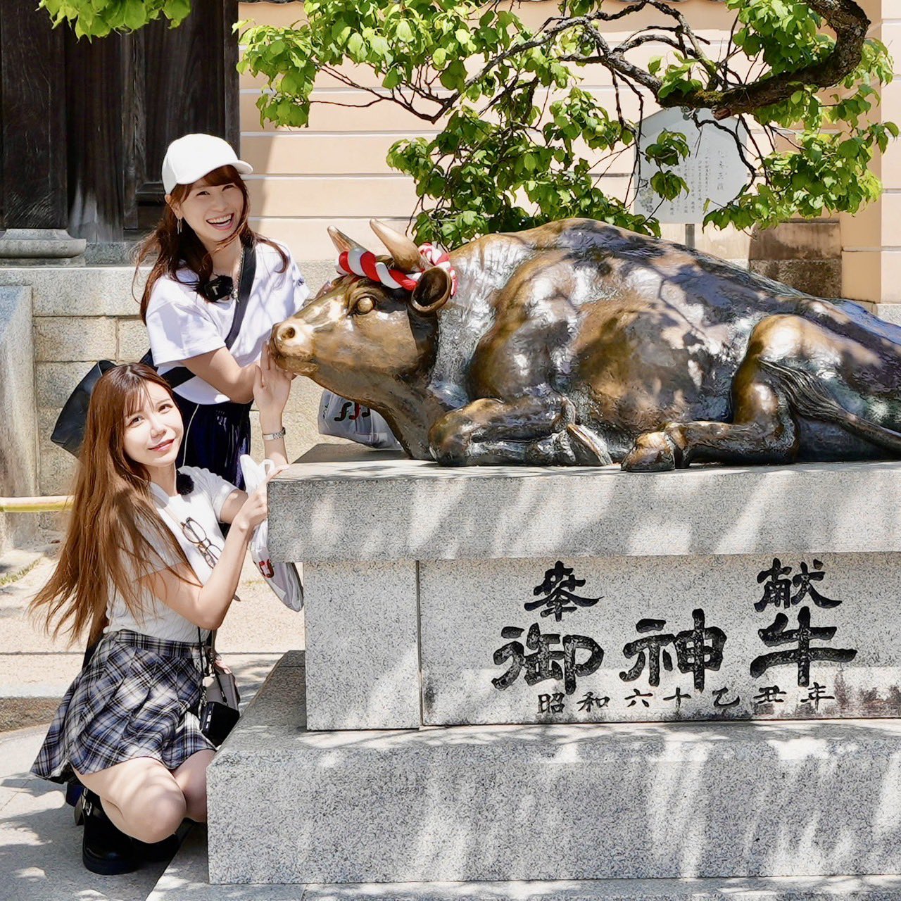 あまねこ！ あまねこさんと正面からみてみたい