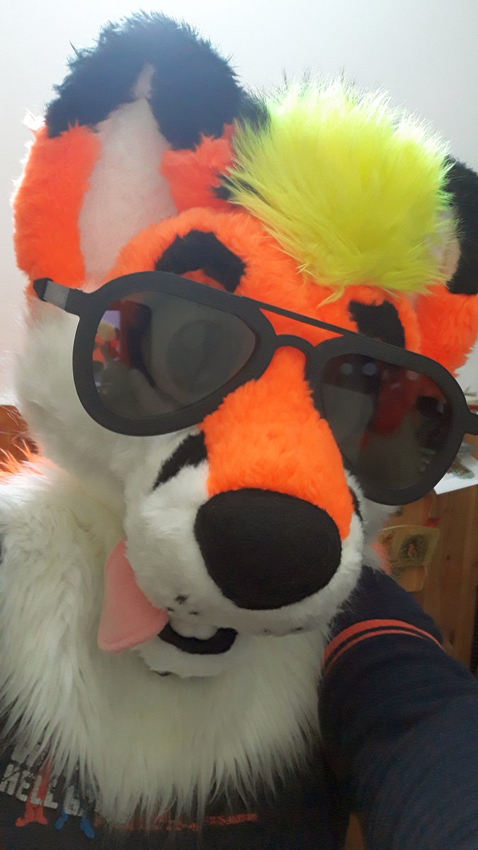 Do you like my new shades? 😎