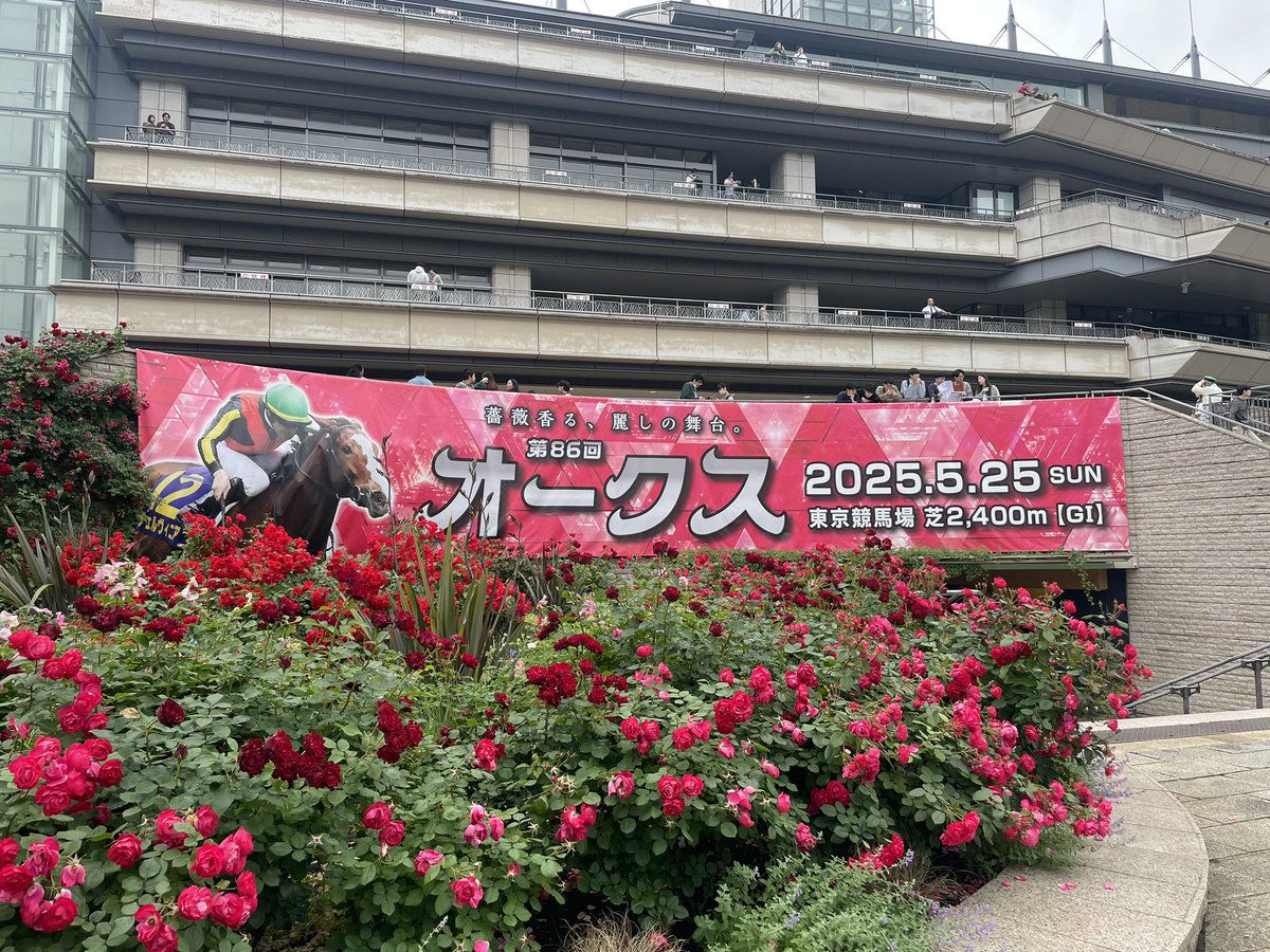 げん (@2525genchan) on Twitter photo 