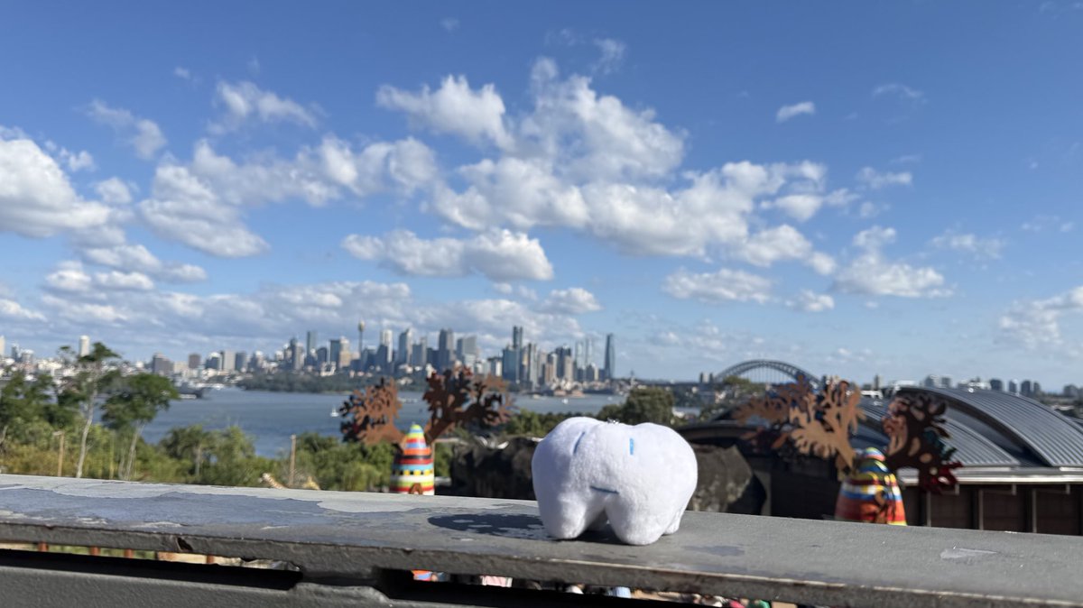 ado1024imokenp's tweet photo. #AdoHibana
Good morning✨
Today is my first time in Sydney. 
Sydney is a wonderful place. https://t.co/BAa7BurcxN