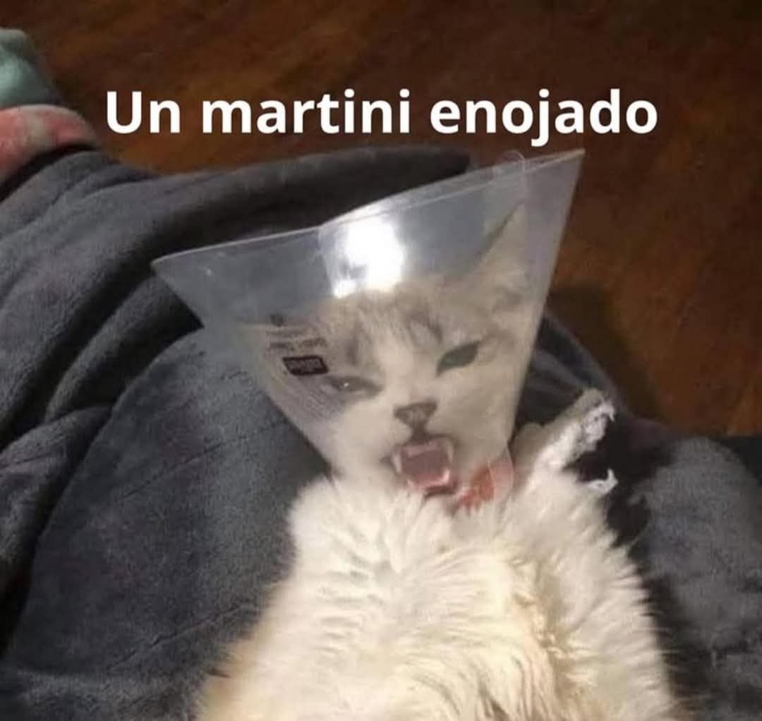 jajajajajajaja 🐱