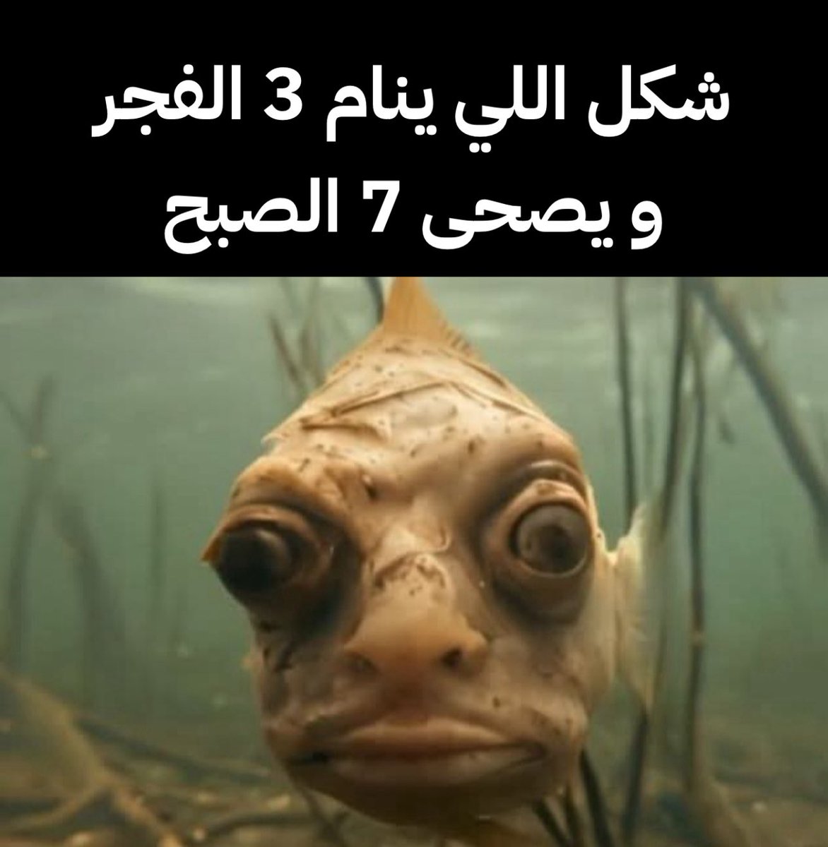 منصور (@i14nn) on Twitter photo 