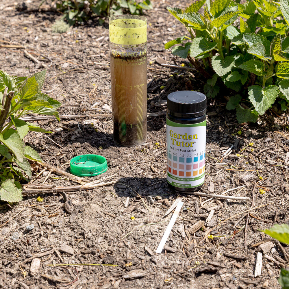 gardentutor's tweet photo. What does “calibrated for soil” mean? It means our strips read soil solutions — not tap water or pool chemistry. And that means more accurate results.
#gardentutor https://t.co/pgGFNwYRXE