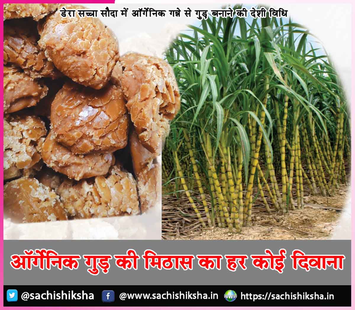 sachishiksha's tweet image. ऑर्गेनिक गुड़ की मिठास का हर कोई दिवाना - sachishiksha.in/everyone-is-cr…