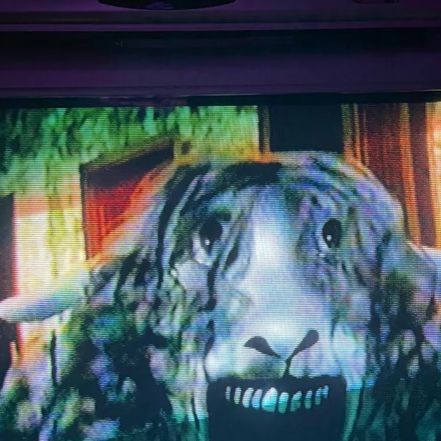 just ash🍰🎉🐱 BUT JOLLY🎄🎁!!!!!!! tweet media