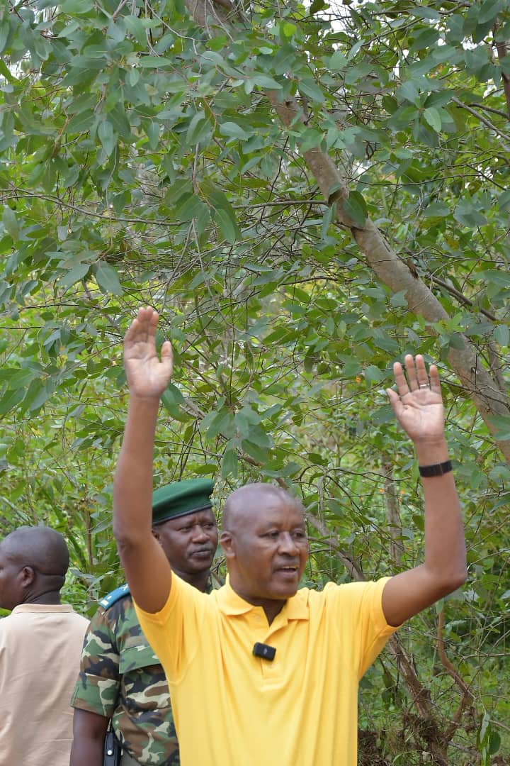 NtareHouse's tweet photo. Samedi 24 mai 2025, S.E  Prosper Bazombanza,  Vice-Président de la République, s'est joint à la population de la Commune Rusaka, province #Mwaro, pour les travaux de développement communautaire. Il était question de réhabiliter un pont reliant les Collines Kizi et Bisha. https://t.co/Fq5DNOsCYW