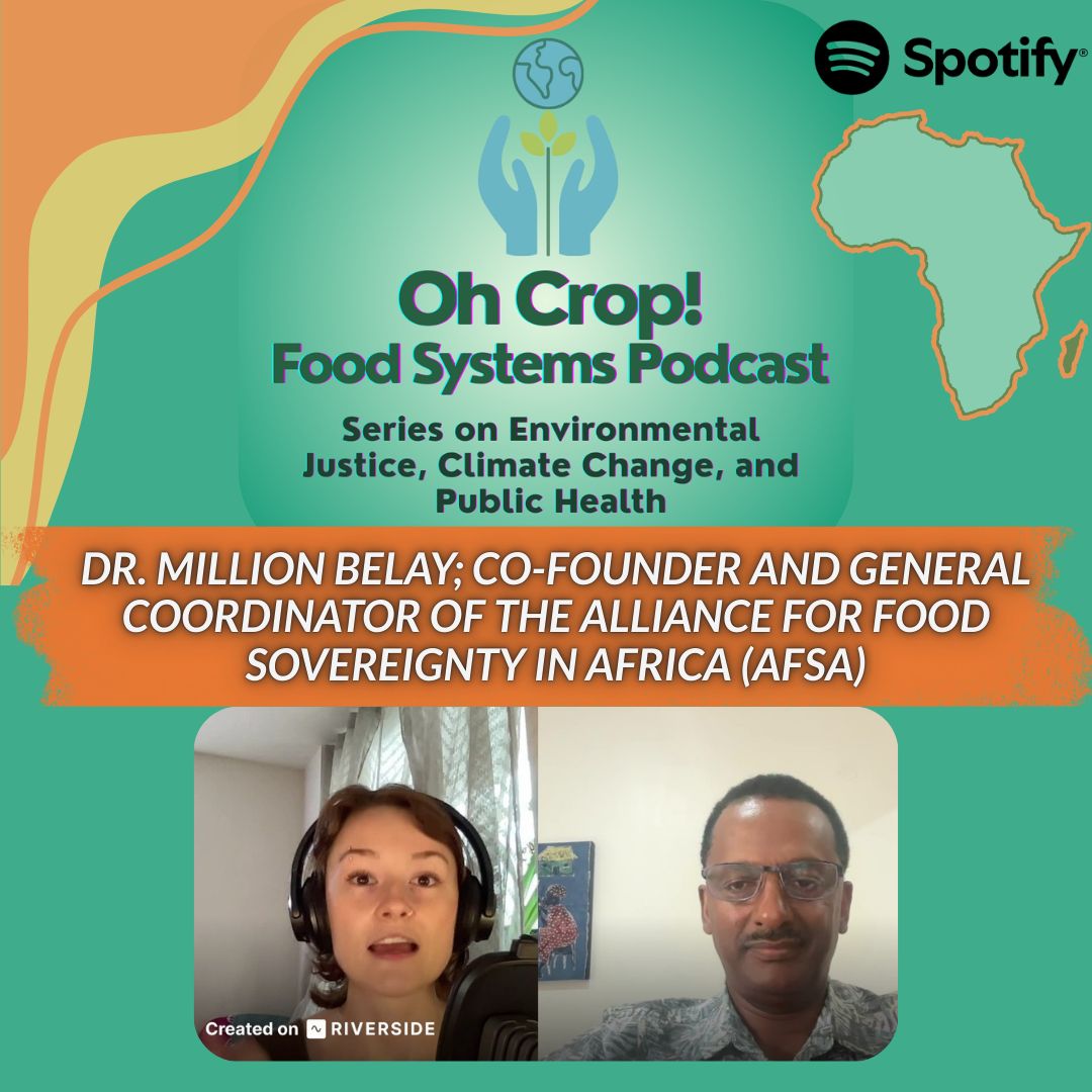 AFSA (@afsafrica) on Twitter photo Food isn't just calories—it's culture, community, and power. In the newest Oh Crop! Podcast episode, Dr. Million Belay <a href="/Million_Belay/">Million Belay</a> challenges what you thought you knew about African agriculture.
As coordinator of the Alliance for Food Sovereignty in Africa (AFSA), Million's Food isn't just calories—it's culture, community, and power. In the newest Oh Crop! Podcast episode, Dr. Million Belay <a href="/Million_Belay/">Million Belay</a> challenges what you thought you knew about African agriculture.
As coordinator of the Alliance for Food Sovereignty in Africa (AFSA), Million's