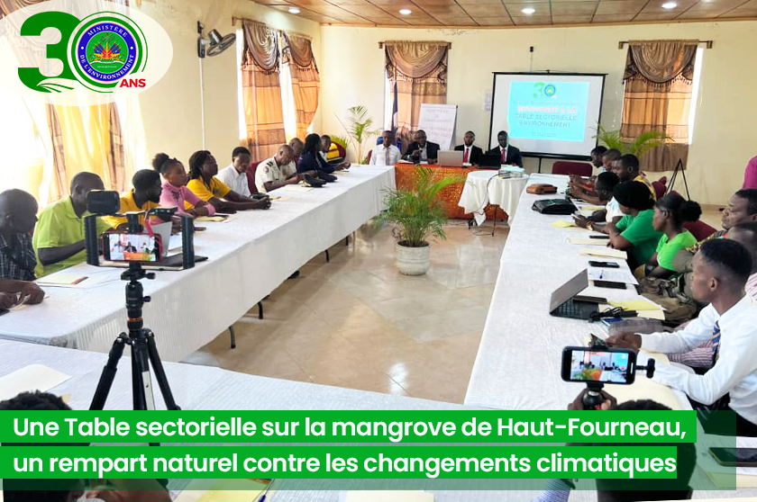 Le MdE a réuni les acteurs locaux et institutionnels à Port-de-Paix autour de la mise en place d’un plan de gestion intégré pour la mangrove de Haut-Fourneau. Une action forte pour lutter contre le changement climatique et protéger la biodiversité.  shorturl.at/h1Fb3