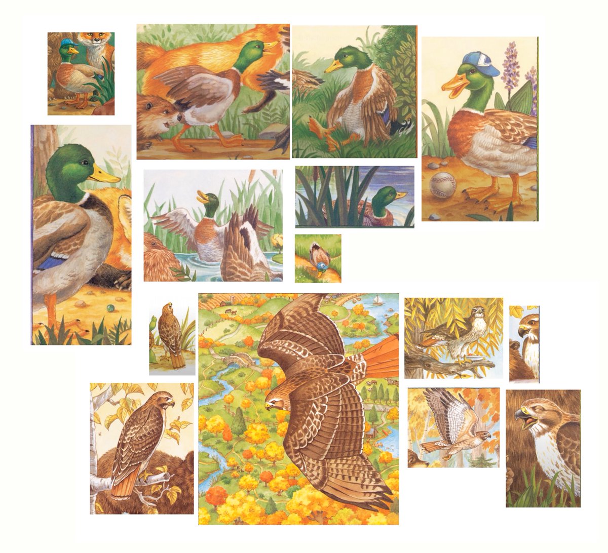 GregBruhl3's tweet image. Duck and Hawk Compilation from Franklin the Turtle in Franklin Fibs and Franklin is Bossy
#FranklinTheTurtle 
#PauletteBourgeois 
#Book