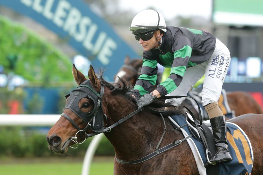 NZ Racing News (@nzracingnews) on Twitter photo NEWS: Trainers Conor and Sarah Fahy are making a habit of winning races at <a href="/Ellerslie_Races/">Auckland Thoroughbred Racing</a> with South Island owned horses with the latest Super Fly winning on Sunday. Read more here racingnews.co.nz/southern-formu… NEWS: Trainers Conor and Sarah Fahy are making a habit of winning races at <a href="/Ellerslie_Races/">Auckland Thoroughbred Racing</a> with South Island owned horses with the latest Super Fly winning on Sunday. Read more here racingnews.co.nz/southern-formu…