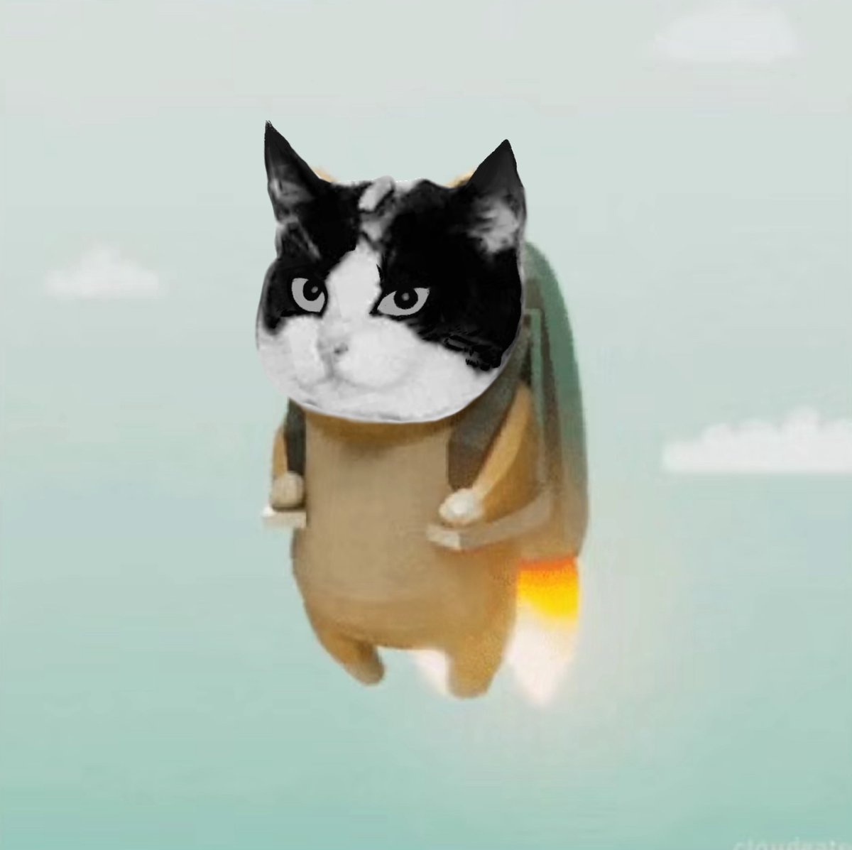 SCAT_Scroll's tweet image. A French cat went to space in 1963.

She came back.

Now she’s back again.

On-chain this time. 🐾