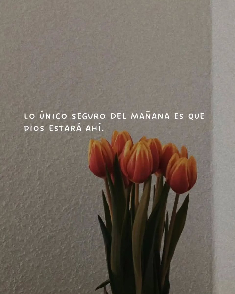 Aroma de Jesús (@aromadejesus) on Twitter photo 