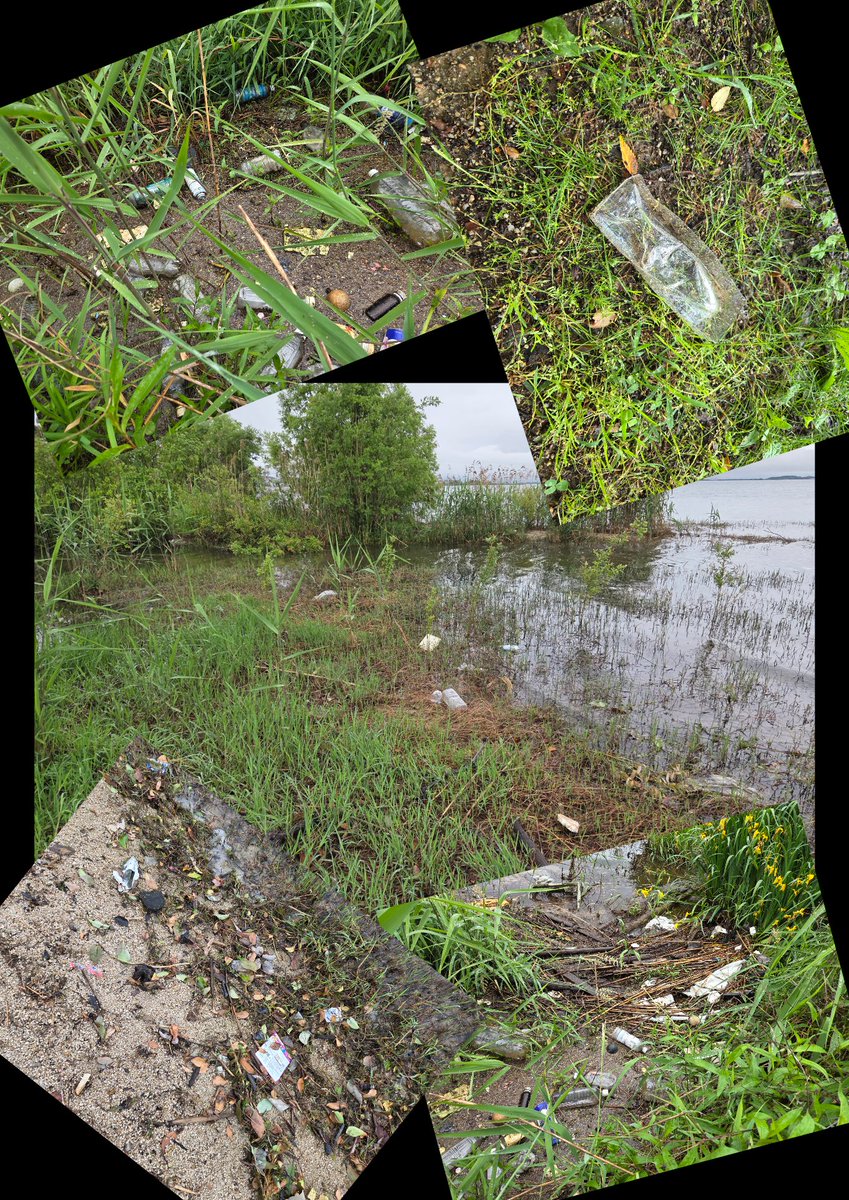 坂本城址公園～四ッ谷～唐崎苑
の同時清掃活動✨
駐車場が少ない小場所は少人数でしかできないので、手付かずのゴミがすごいです！
あースッキリした😊
#アングラーズプロジェクト
#継美隊
#釣り人が居れば水辺は綺麗になる
#私たちは釣りの未来をあきらめない
#小さな清掃活動から