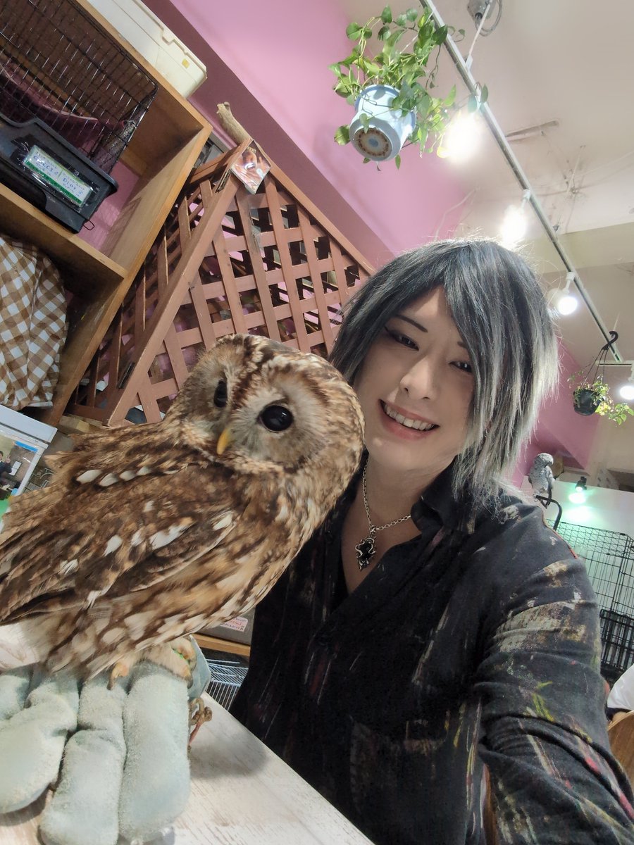 エッホエッホ(死語)