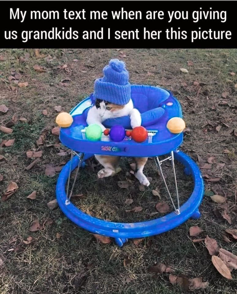 😆 😆 😆