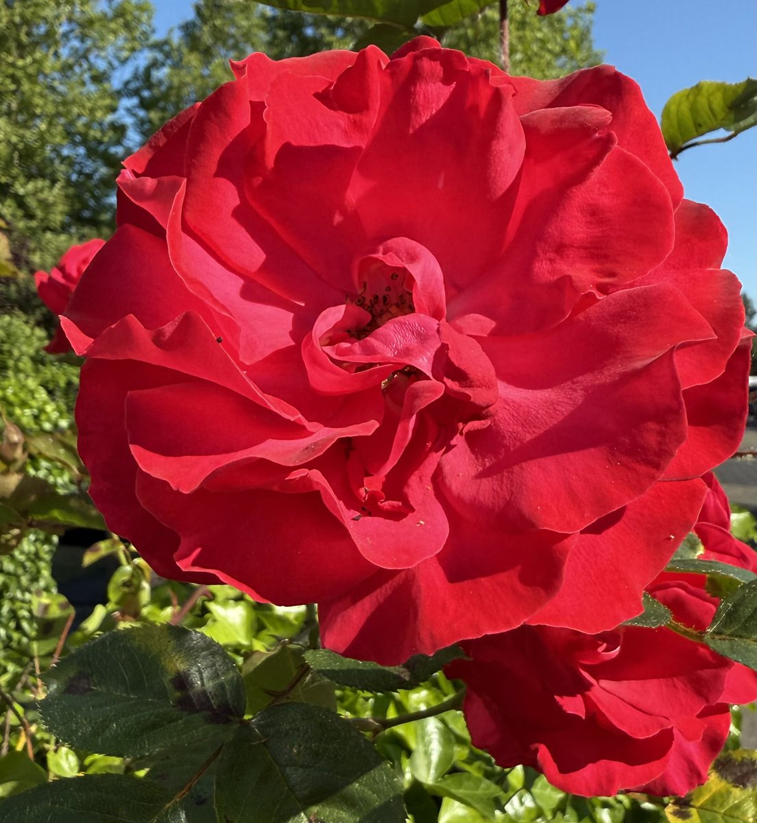 Paul Tekstra tweet media