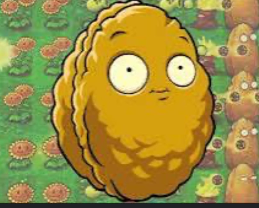 CT I eric tweet media