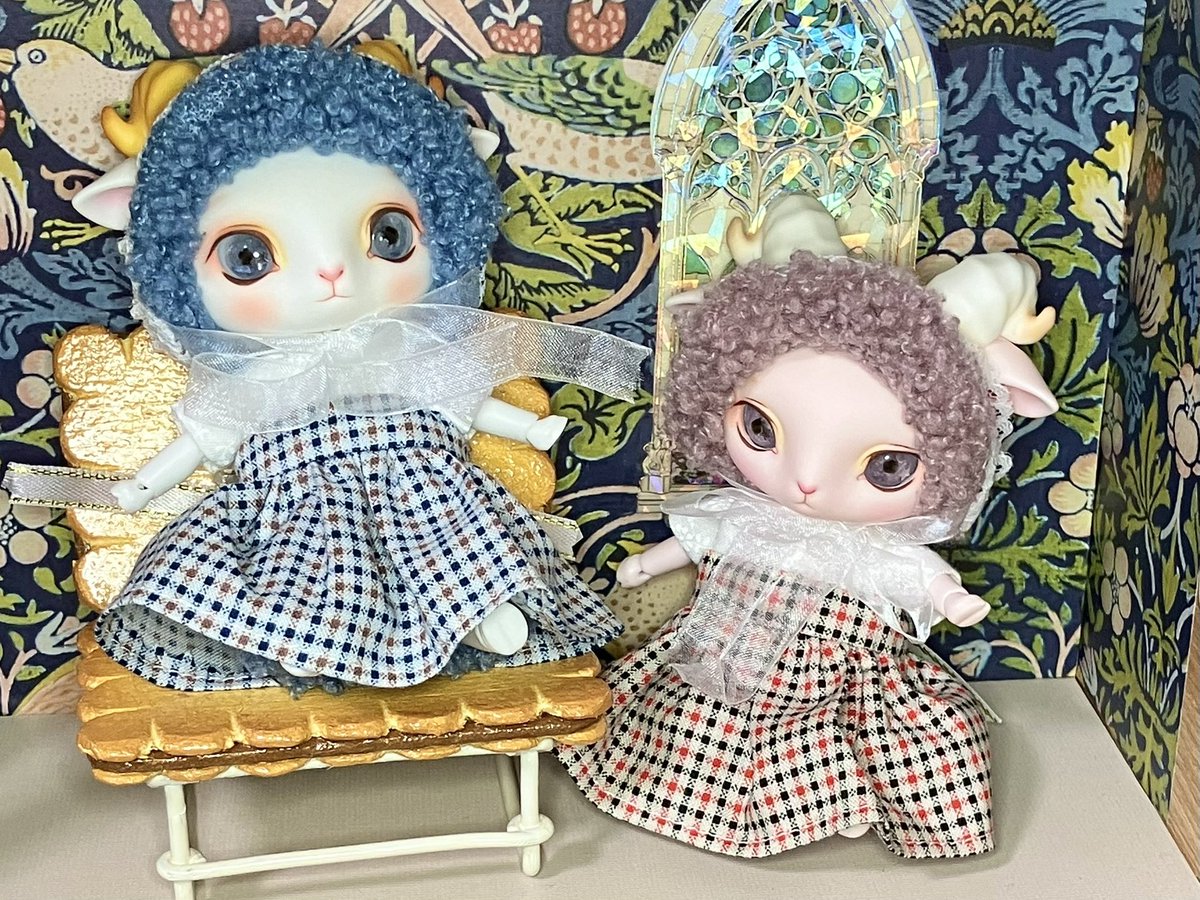 mfmfland's tweet photo. 豆羊ちゃんたちのおようふく
さくらちゃんとみどりちゃんは双子コーデにしがち
#豆羊
#LORENZbean
#うちのこかわいい https://t.co/QmFBY3TeoQ