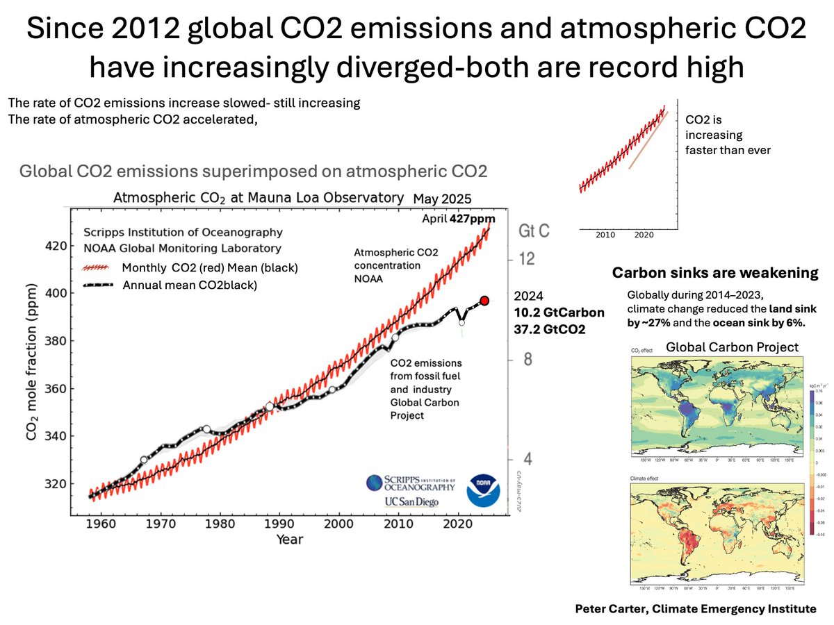 PCarterClimate's tweet photo. CARBON SINKS WEAKENING
Global Carbon Project has sinks weakening starting 2021. Consensus AI. 'Global carbon sink efficiency declining climate change, feedbacks. Both terrestrial &amp; oceanic sinks affected' Ignored, worst sign catastrophe #carbonsinks #climatechange #globalwarming https://t.co/BBAEgFle4t