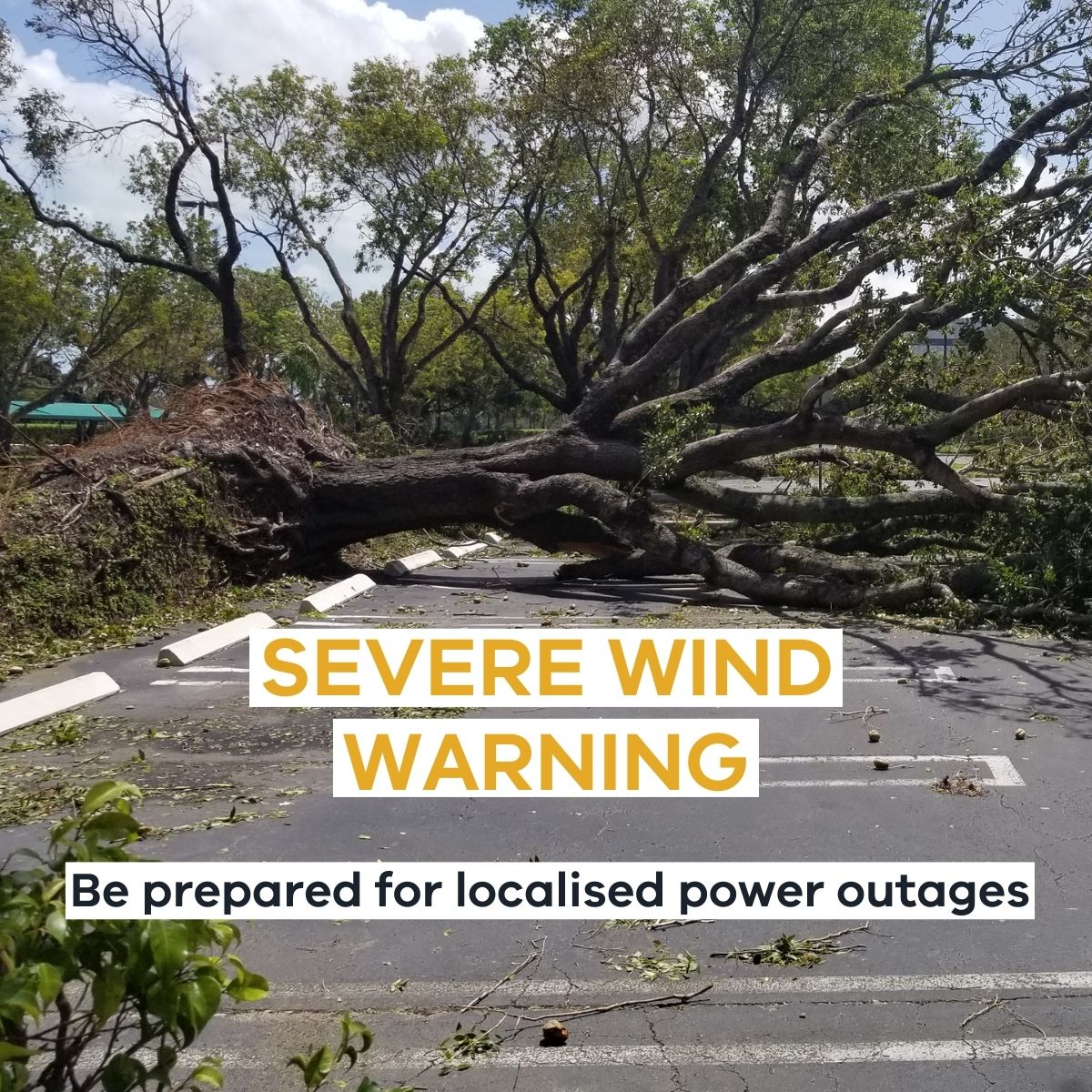 With damaging to locally destructive winds developing across large parts of Victoria tonight, there is a risk of localised power outages. 

Find out how to prepare for power outages – and what to do if you are experiencing an outage  energy.vic.gov.au/about-energy/s… or call 136 186.