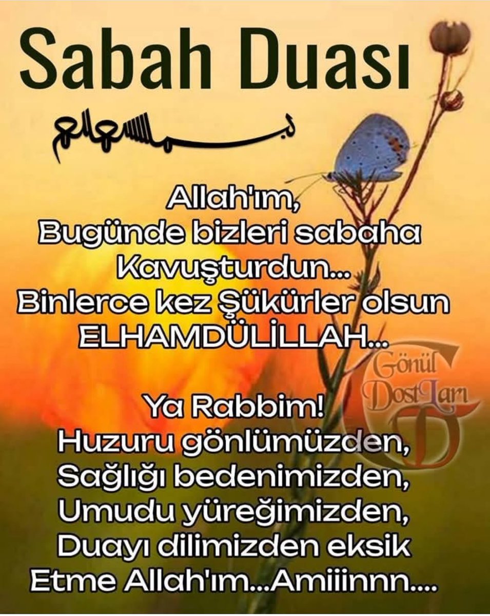 Yüksel Eyüboğlu (@eyuboglu_yuksel) on Twitter photo 