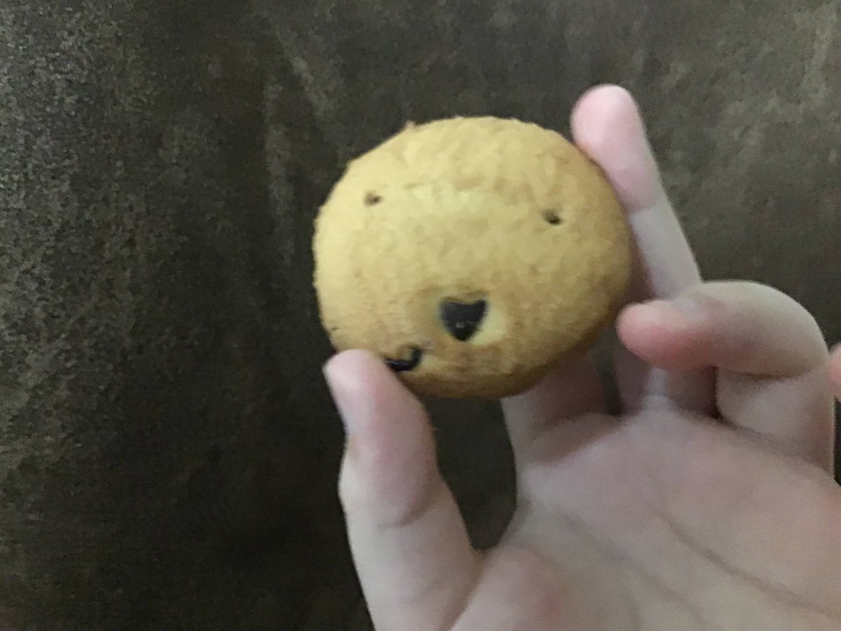 KokoiroLearning's tweet photo. クッキー食べてたらまぬけな顔のクッキー出てきた🤣🤣 https://t.co/TFWiUi1X2a