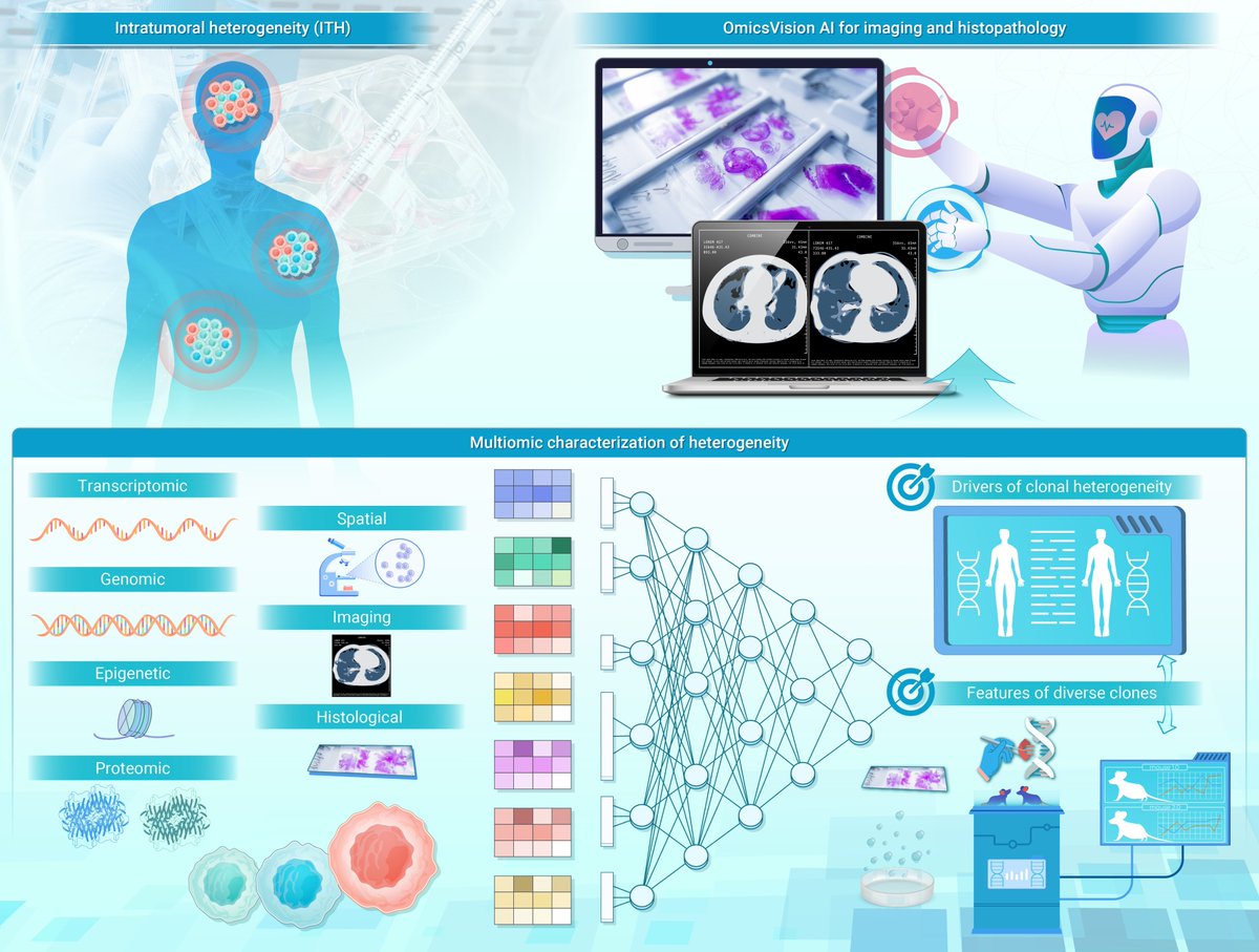 Intratumoral heterogeneity Targeting origin vs. variations and AI-driven non-invasive assessment.
doi.org/10.59717/j.xin… Read more <a href="/InnovationLife/">The Innovation Life</a>
#lifesciences #artificialintelligence #clinic #TIC2025