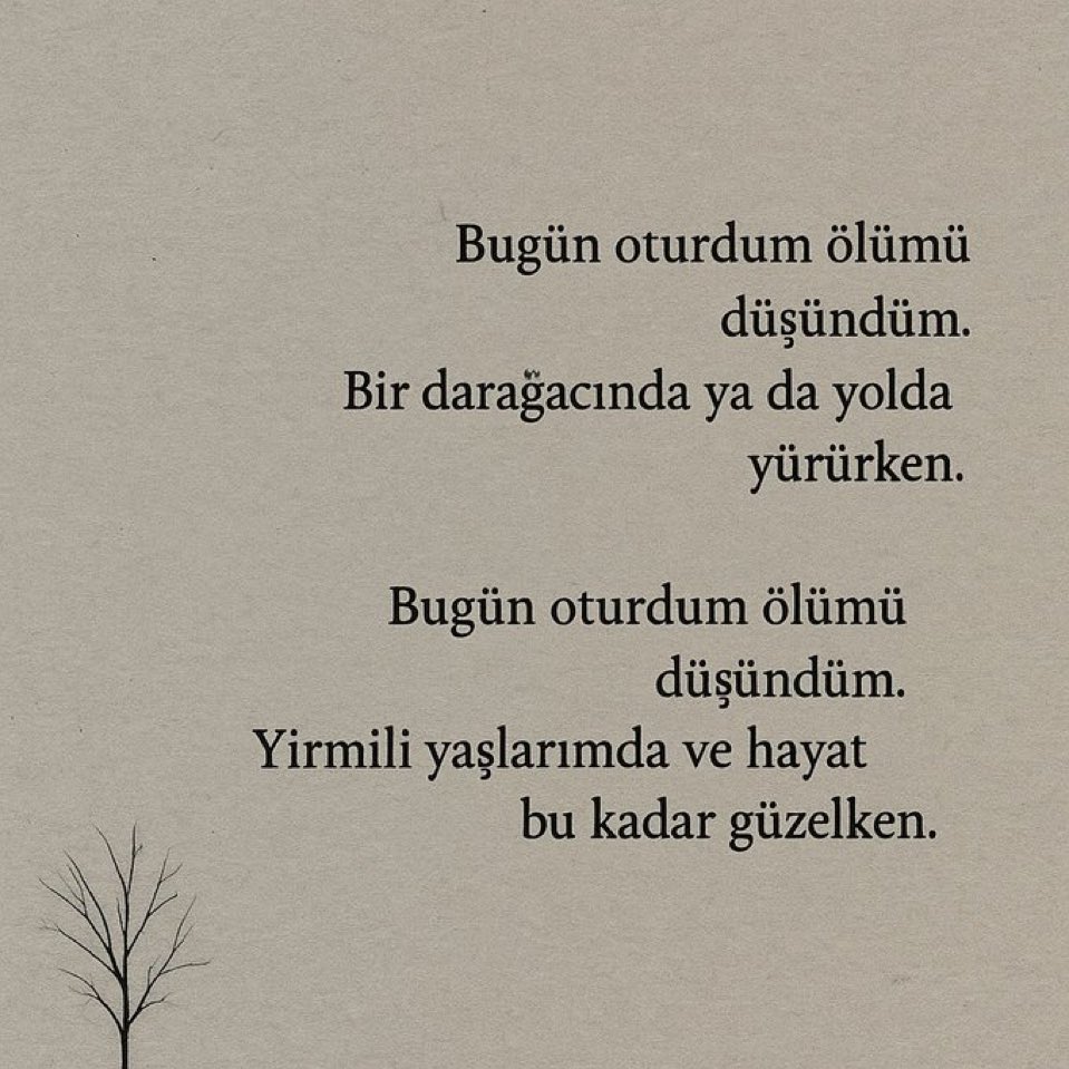 Edebiyat Cephesi (@edebiyatcephesi) on Twitter photo 