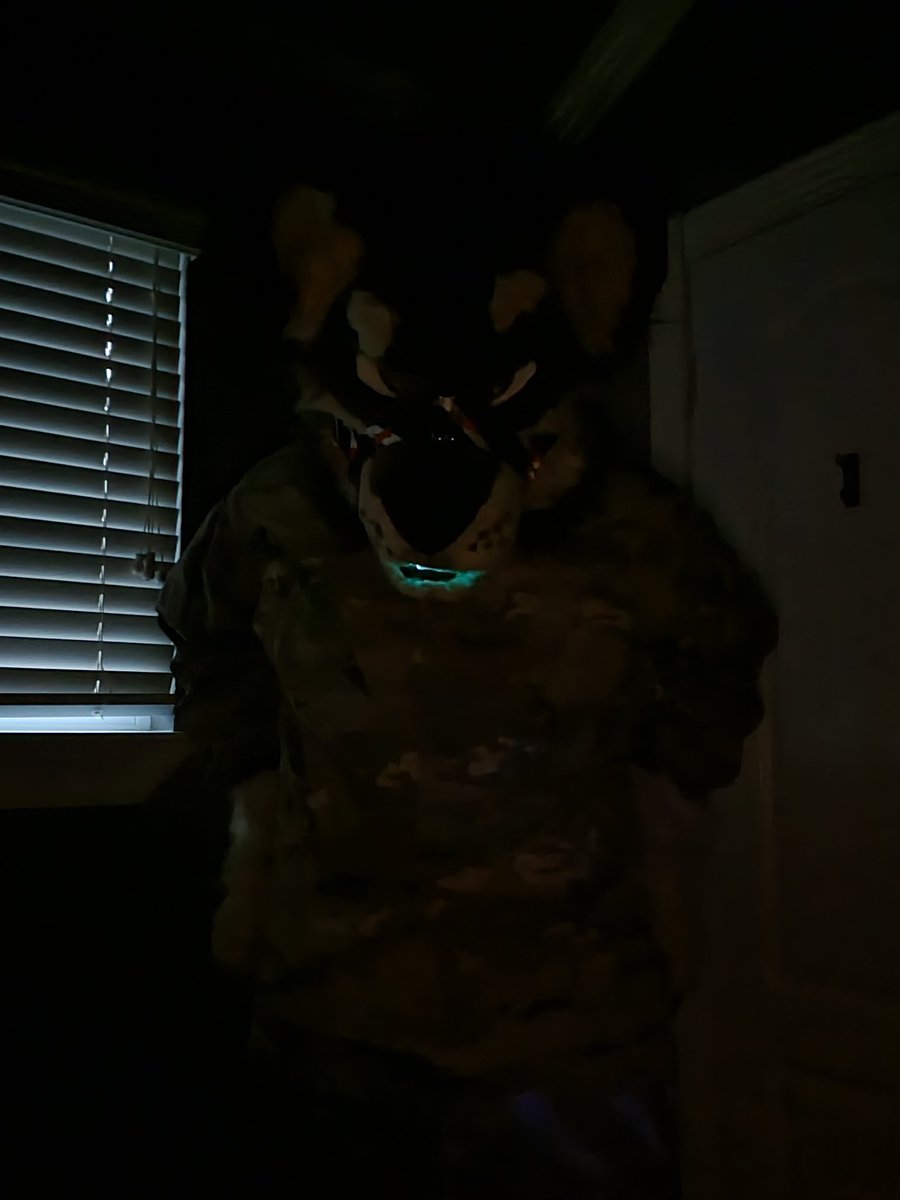 Major 🔜 TFF, FWA tweet media